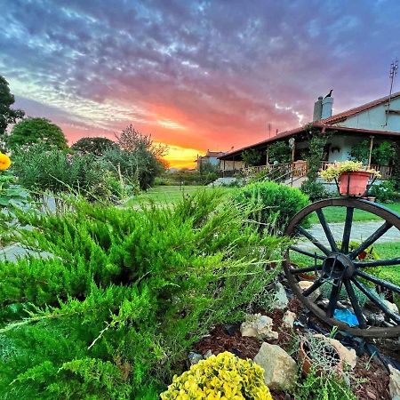 Вілла Ivonnis Garden Mesimvria  Екстер'єр фото