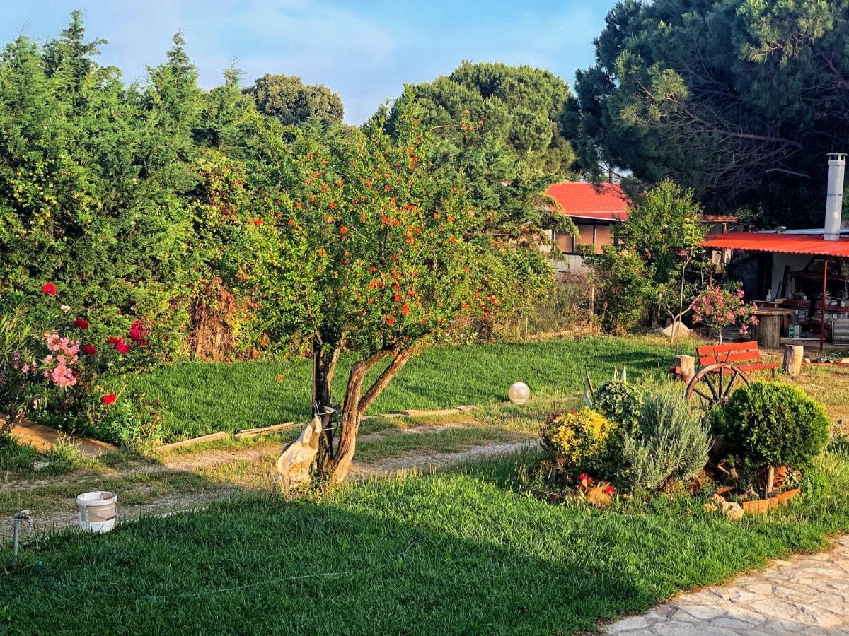 Вілла Ivonnis Garden Mesimvria  Екстер'єр фото