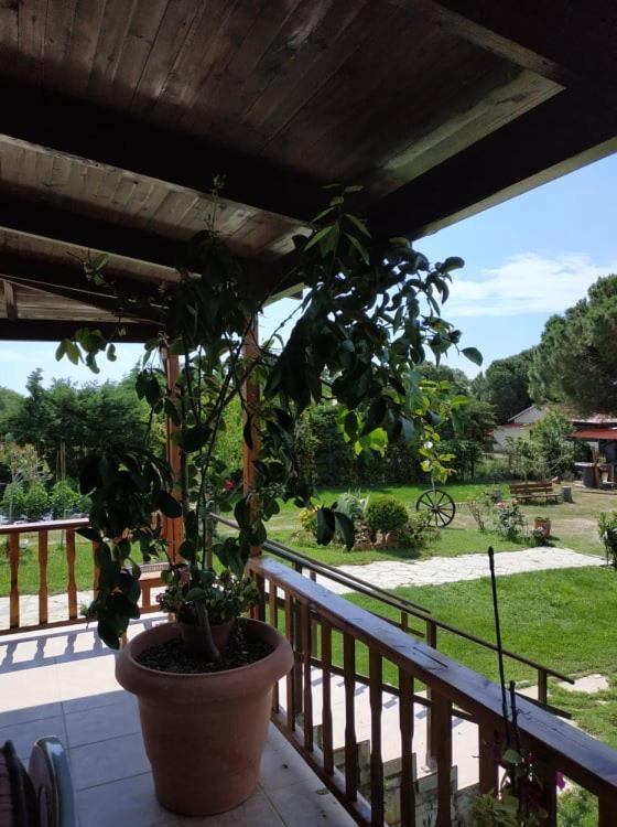 Вілла Ivonnis Garden Mesimvria  Екстер'єр фото