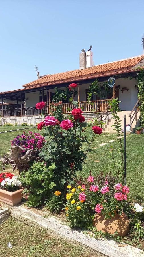 Вілла Ivonnis Garden Mesimvria  Екстер'єр фото