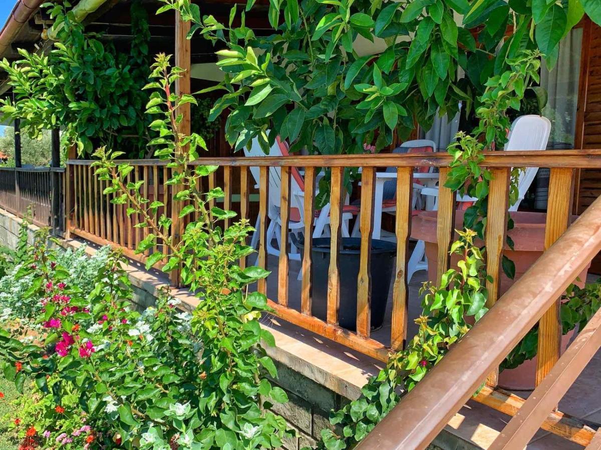 Вілла Ivonnis Garden Mesimvria  Екстер'єр фото