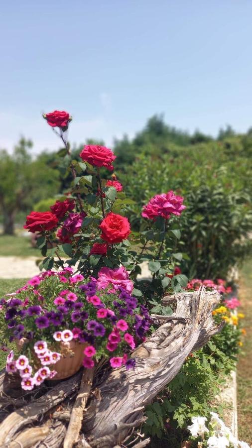 Вілла Ivonnis Garden Mesimvria  Екстер'єр фото