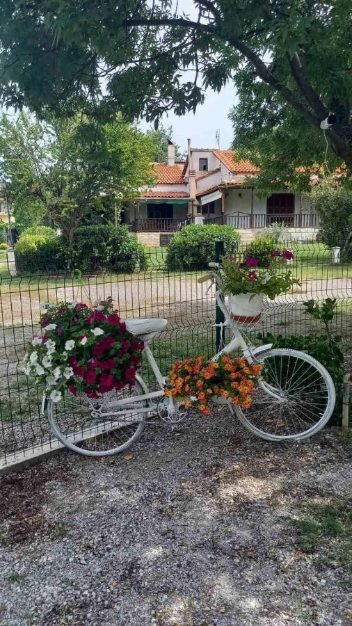 Вілла Ivonnis Garden Mesimvria  Екстер'єр фото