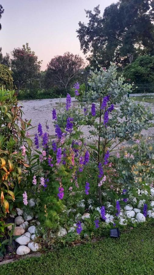 Вілла Ivonnis Garden Mesimvria  Екстер'єр фото